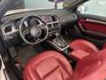 Audi A5 Cabrio2.0 TDI 177 CV Wit - thumbnail 10