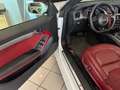Audi A5 Cabrio2.0 TDI 177 CV Wit - thumbnail 8