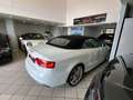 Audi A5 Cabrio2.0 TDI 177 CV Wit - thumbnail 13