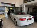Audi A5 Cabrio2.0 TDI 177 CV Wit - thumbnail 12