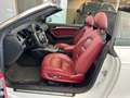 Audi A5 Cabrio2.0 TDI 177 CV Wit - thumbnail 7