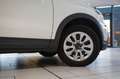 Fiat 500X 1.3T CROSS DCT NAVI/LED/PDC/SPORT/TEMP/DAB+ Weiß - thumbnail 6