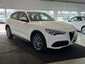 Alfa Romeo Stelvio 2.2 Turbodiesel 160 CV AT8 RWD Business PROMO! Bianco - thumbnail 1