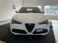 Alfa Romeo Stelvio 2.2 Turbodiesel 160 CV AT8 RWD Business PROMO! Bianco - thumbnail 9