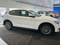 Alfa Romeo Stelvio 2.2 Turbodiesel 160 CV AT8 RWD Business PROMO! Bianco - thumbnail 10