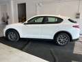Alfa Romeo Stelvio 2.2 Turbodiesel 160 CV AT8 RWD Business PROMO! Bianco - thumbnail 12