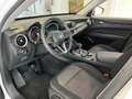 Alfa Romeo Stelvio 2.2 Turbodiesel 160 CV AT8 RWD Business PROMO! Bianco - thumbnail 13