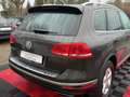 Volkswagen Touareg V6 TDI Terrain*TEMP*KLIMA*AHK Schwarz - thumbnail 17