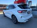 Ford Kuga 2,5 Duratec FHEV AWD Vignale Aut. Weiß - thumbnail 5
