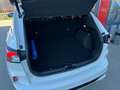 Ford Kuga 2,5 Duratec FHEV AWD Vignale Aut. Weiß - thumbnail 9
