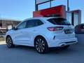 Ford Kuga 2,5 Duratec FHEV AWD Vignale Aut. Weiß - thumbnail 6