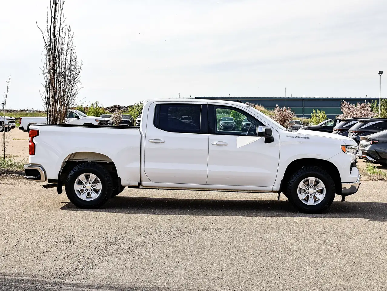 Chevrolet Silverado 1500 снимка Chevrolet Silverado 1500