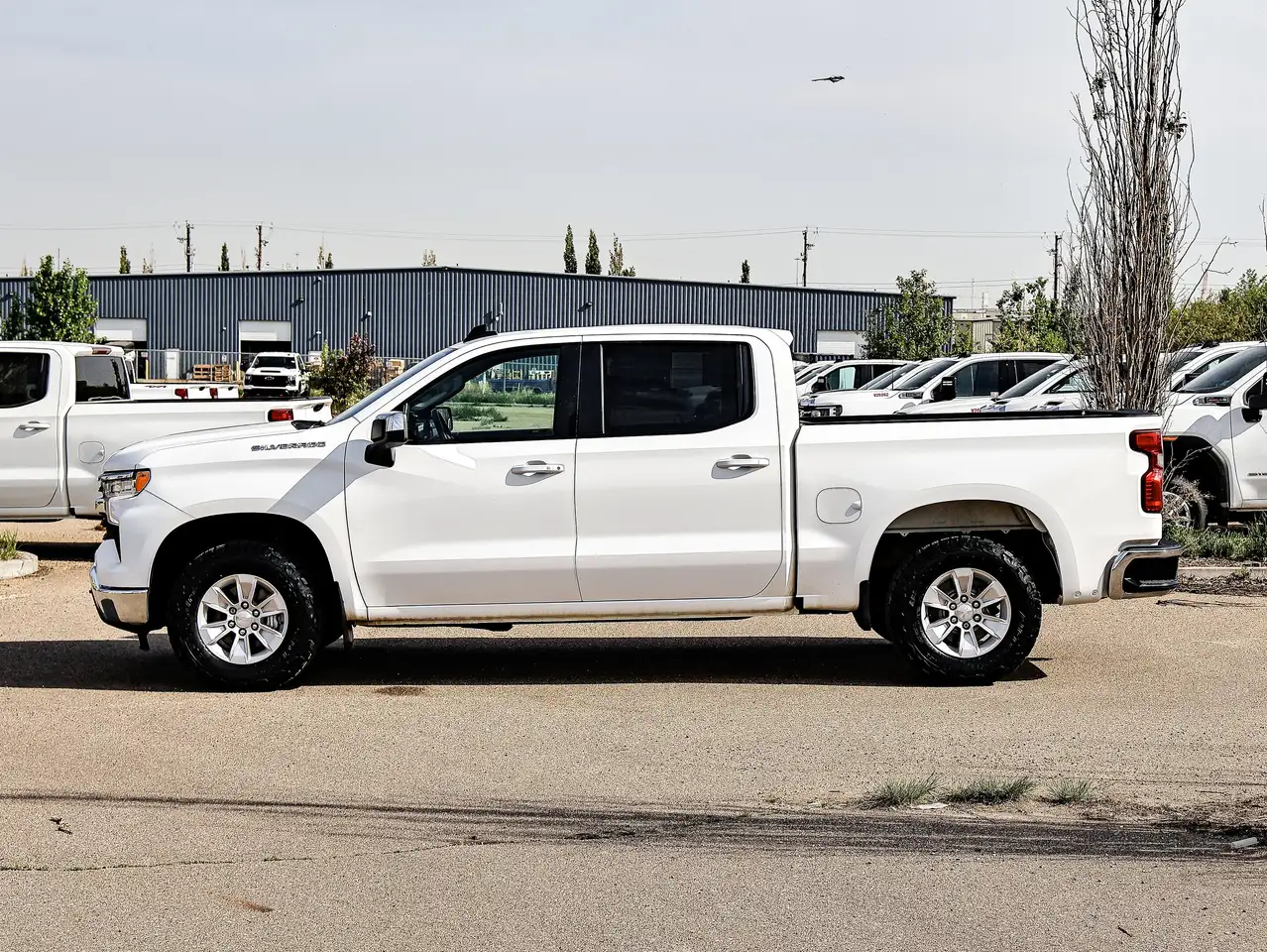 Chevrolet Silverado 1500 снимка Chevrolet Silverado 1500