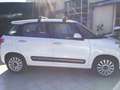 Fiat 500L 500L 1.3 Multijet 85 CV Business Bianco - thumbnail 8