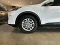 Ford Kuga 2.5 Duratec PHEV Titanium 4x2 Blanc - thumbnail 27