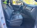 Ford Ranger 2.0 Ecoblue DCb.XLT Limited 4x4 Aut. 170 Blanco - thumbnail 21
