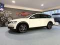 Skoda Octavia SCOUT 2.0 TDI 4x4 DSG *AHK*PANO*TOP AUSSTATTUNG Weiß - thumbnail 3