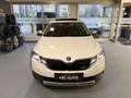 Skoda Octavia SCOUT 2.0 TDI 4x4 DSG *AHK*PANO*TOP AUSSTATTUNG Weiß - thumbnail 11
