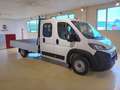 Fiat Ducato DOPP. CAB. 35Q L3 H1 140 CV cassone fisso 2.950 mm Bianco - thumbnail 14