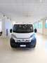 Fiat Ducato DOPP. CAB. 35Q L3 H1 140 CV cassone fisso 2.950 mm Bianco - thumbnail 16