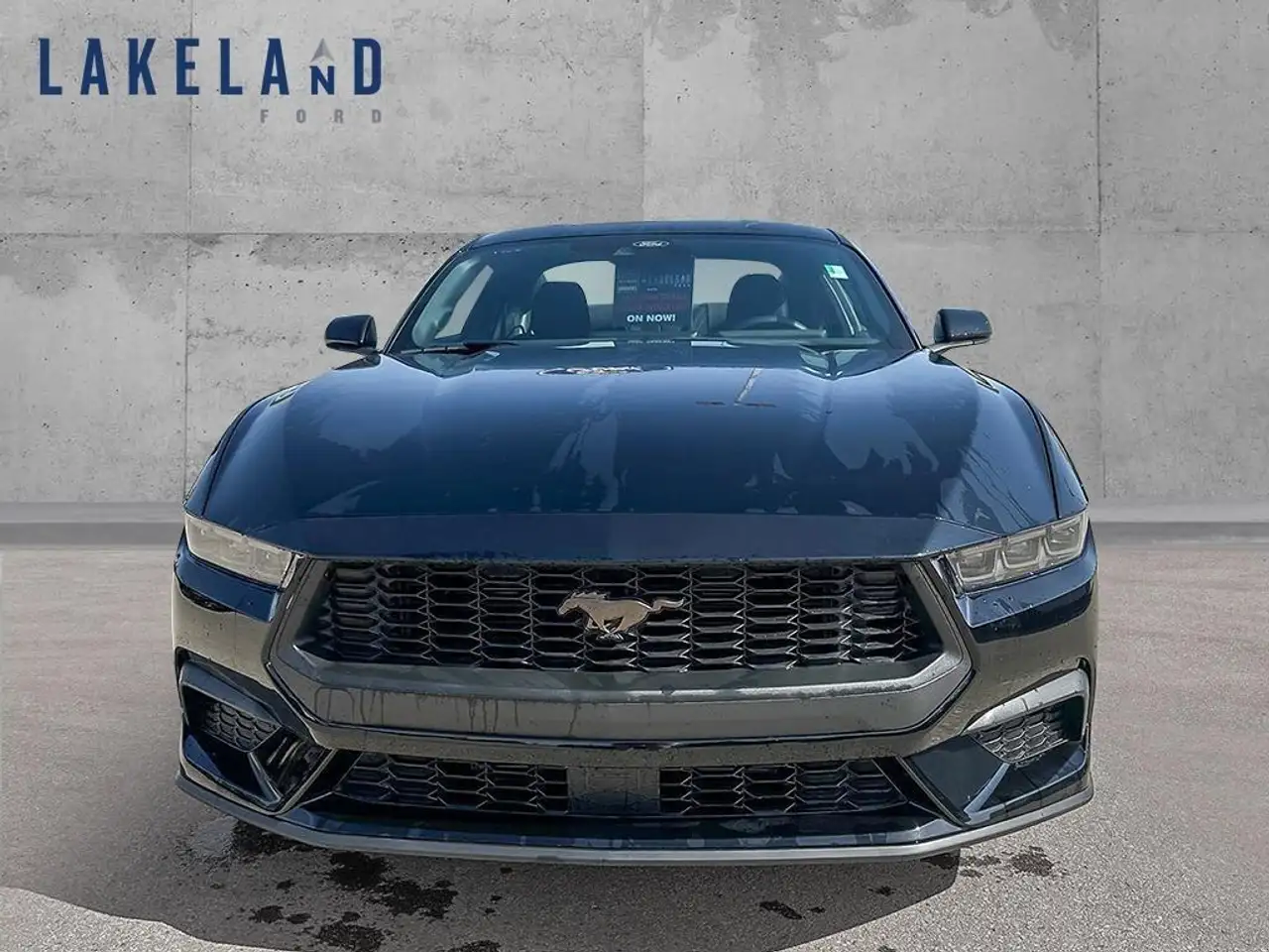 Ford Mustang снимка Ford Mustang