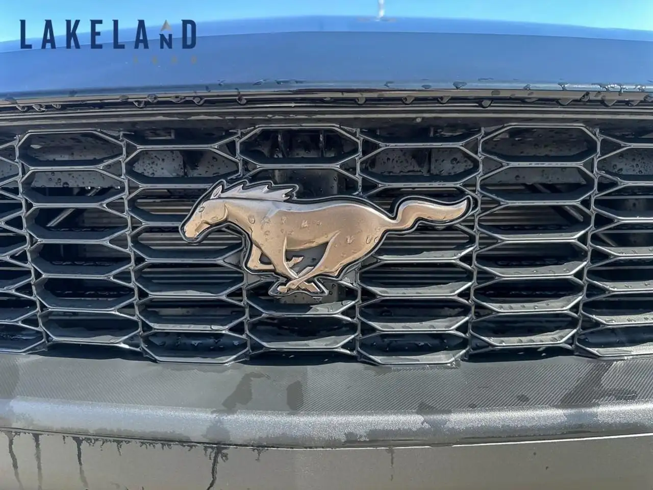 Ford Mustang снимка Ford Mustang