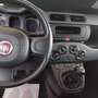 Fiat Panda Panda III 2021 1.0 firefly hybrid s Arancione - thumbnail 5