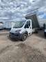 Fiat Ducato Ch.Cb.33 2.3Mjt LPEGR Corto 95kW Blanco - thumbnail 1