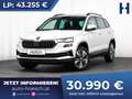 Skoda Karoq TDI Ambition Aut. WINTER TRAVEL AMUNDSEN ACC R-KA Weiß - thumbnail 1