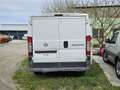 Fiat Ducato 30 L1H1 2,2 JTD 100 White - thumbnail 12