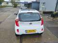 Kia Picanto Picanto 1.0 CVVT EconomyLine Wit - thumbnail 5