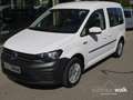 Volkswagen Caddy 1.0 TSI Trendline NAVI GRA Klima Weiß - thumbnail 2