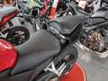 Honda CB 500 Hornet LED SCHEINWERFER Rojo - thumbnail 3