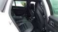 Porsche Panamera Sport Turismo Turbo S E-Hybrid APPROVED Gris - thumbnail 16