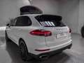Porsche Cayenne Diesel Platinum Edition Aut. Blanco - thumbnail 8