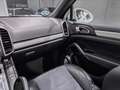 Porsche Cayenne Diesel Platinum Edition Aut. Blanco - thumbnail 21