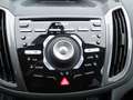 Ford C-Max C-Max Diesel 2.0 TDCi Aut. Titanium Gris - thumbnail 10