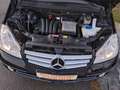Mercedes-Benz A 170 A 170 +Aut+2Hd+Navi+AHK+Kam+SHZ+Panorama+Temp+t.Le Negro - thumbnail 20