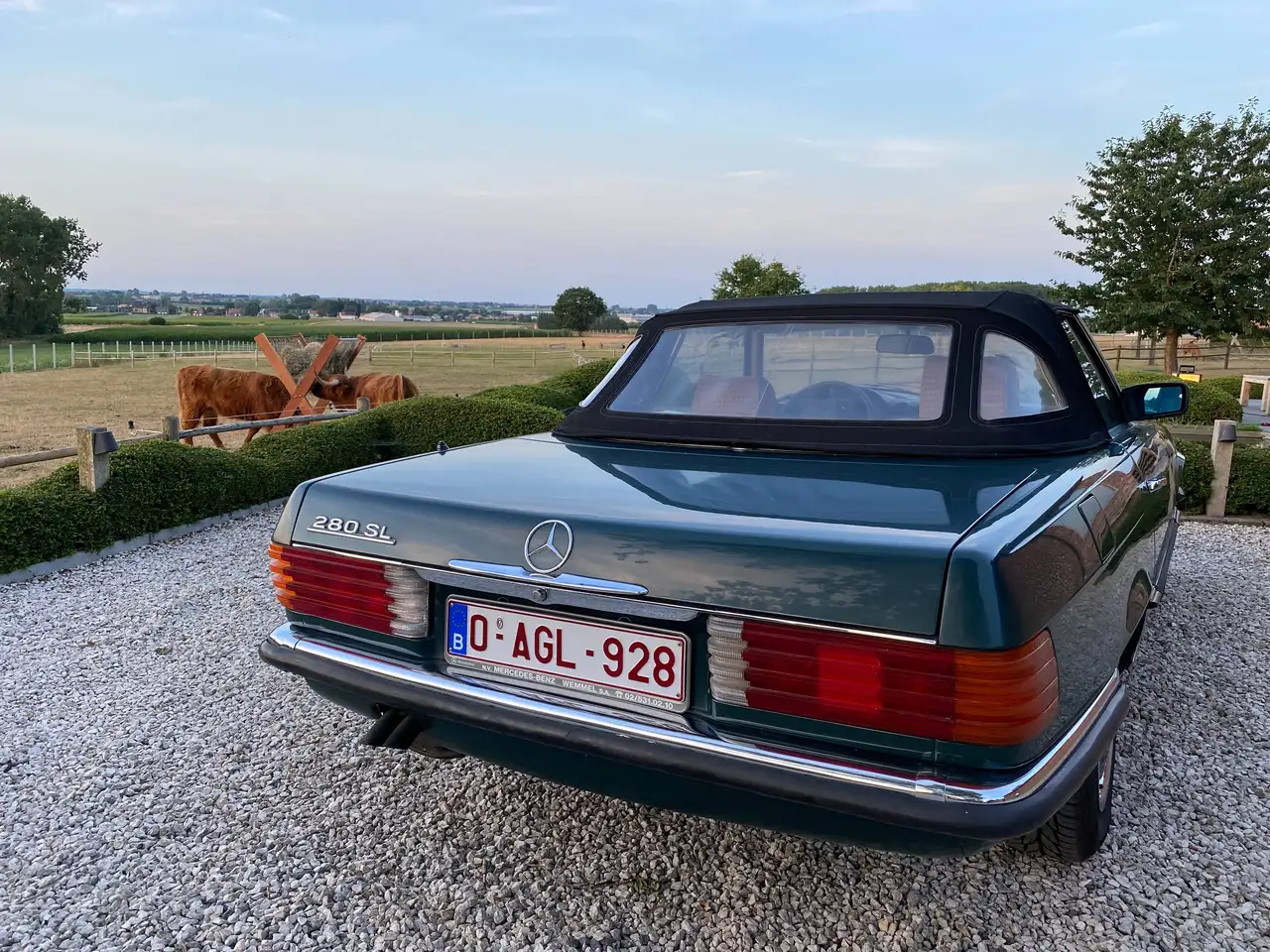 Mercedes Benz Mercedes-Benz 280 SL (R107) Cabrio, foto 8