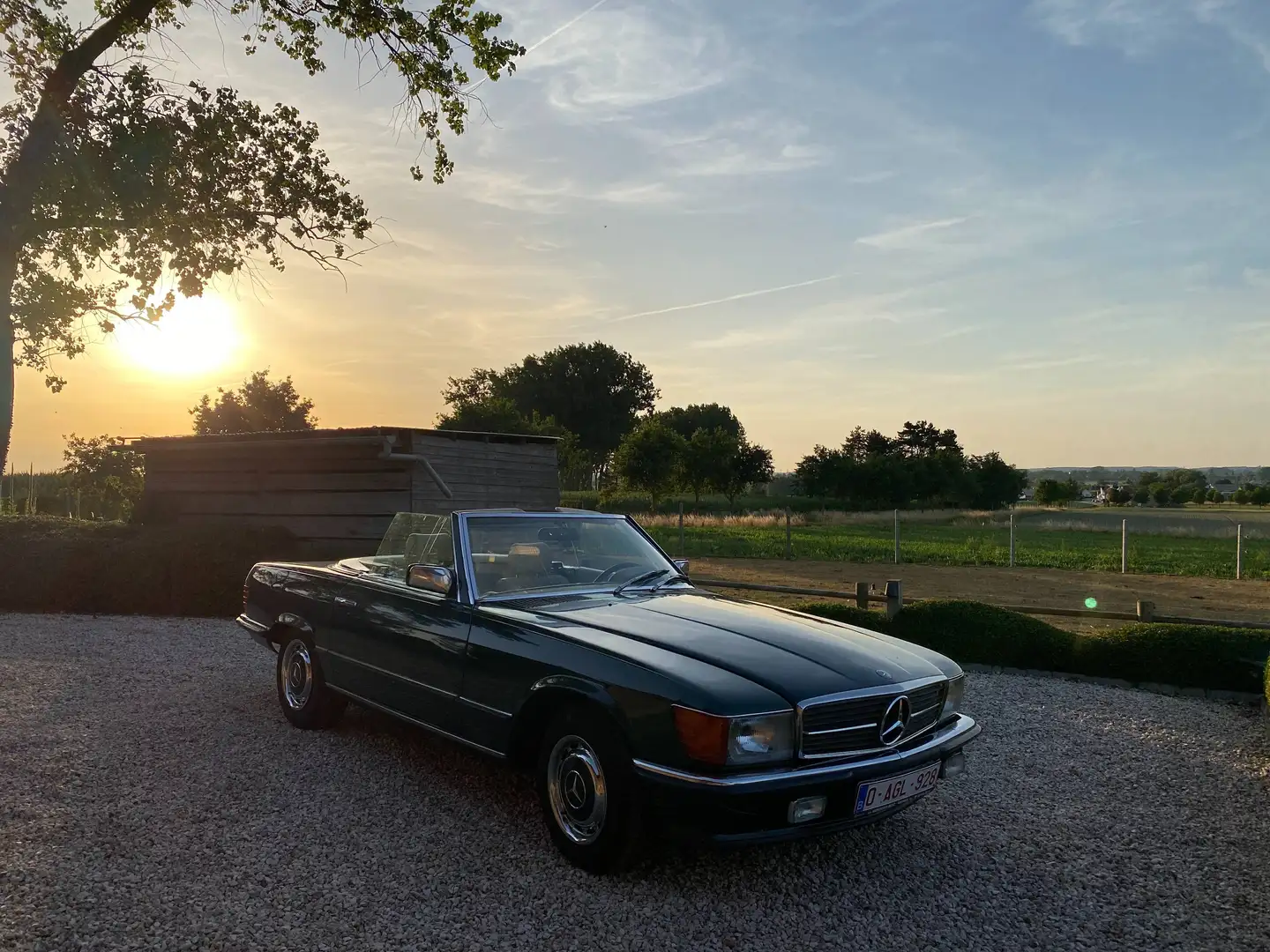 Oldtimer Mercedes Benz Mercedes-Benz 280 SL (R107) Cabrio Grün - 2