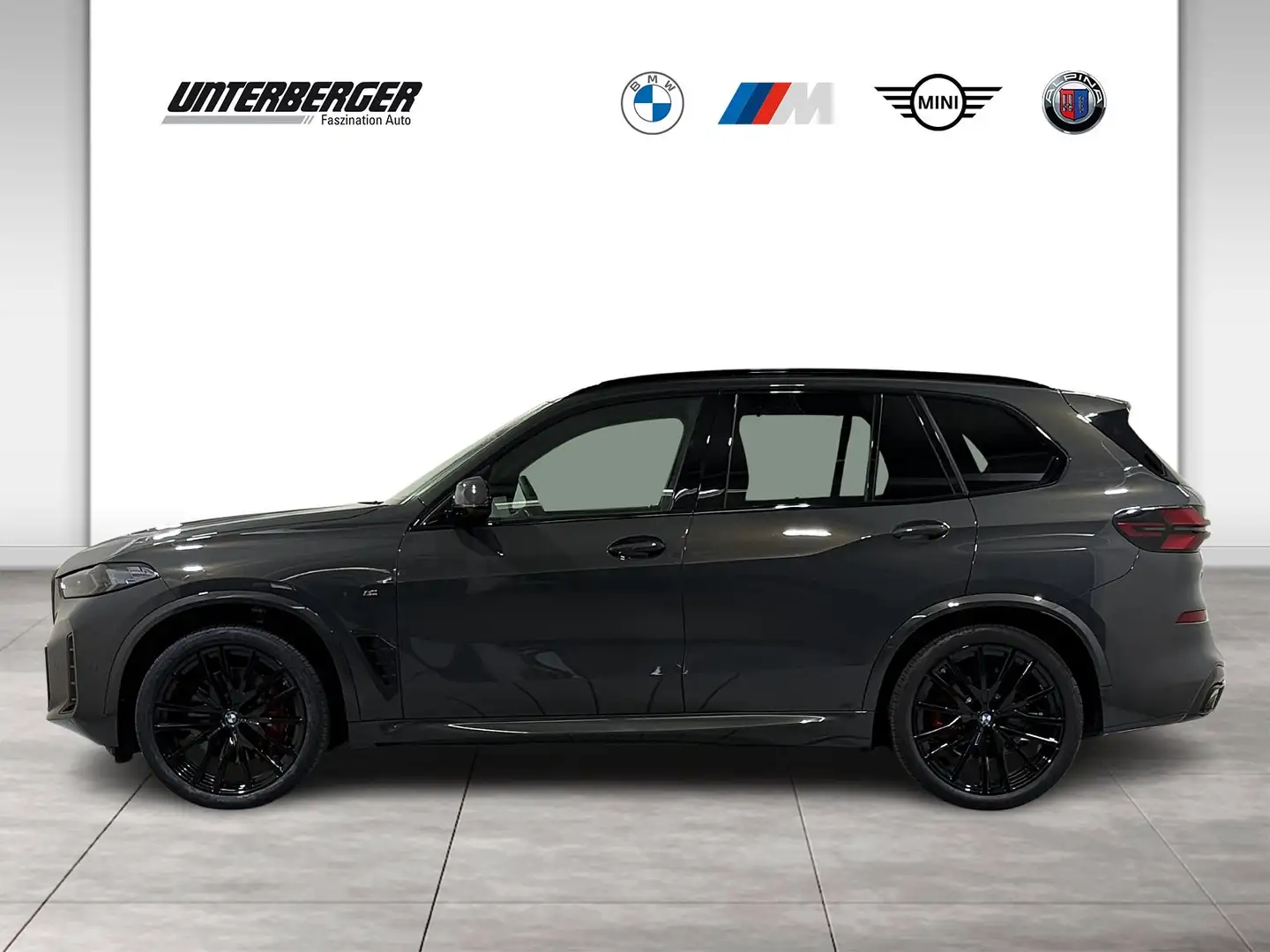 BMW X5 xDrive40i M Sportpaket Luftfederung Standhzg AHK Gris - 2