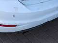 Volkswagen Golf Sportsvan VII Comf. 1.6 TDI Navi*ACC*SHZ Weiß - thumbnail 28