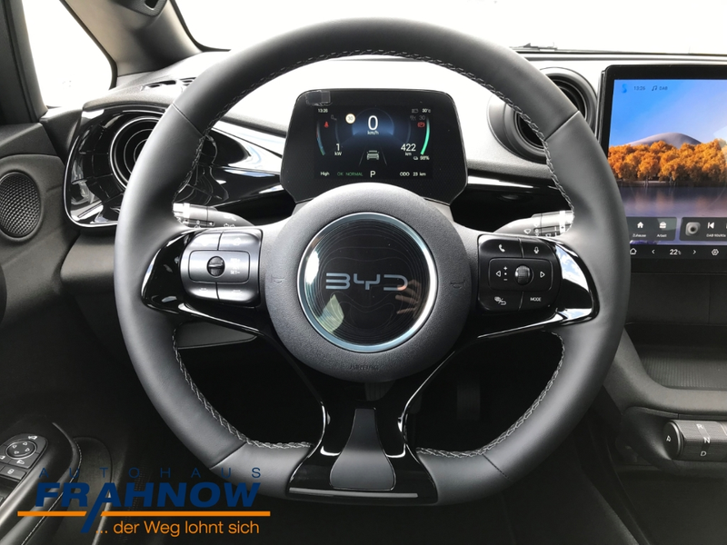 BYD Dolphin DMS DESIGN LED NAVI ACC SHZ KAMERA — photo 13