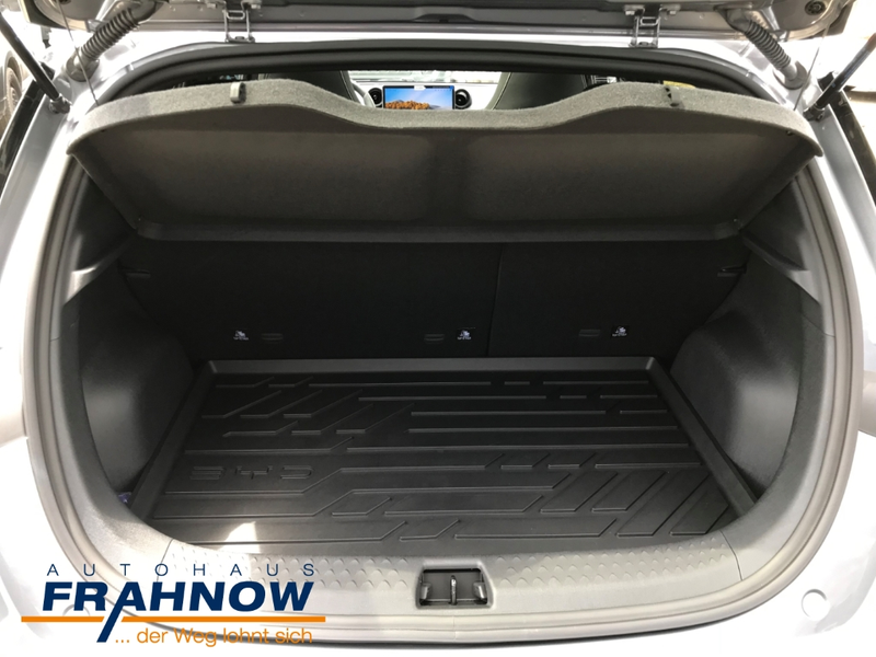 BYD Dolphin DMS DESIGN LED NAVI ACC SHZ KAMERA — photo 11