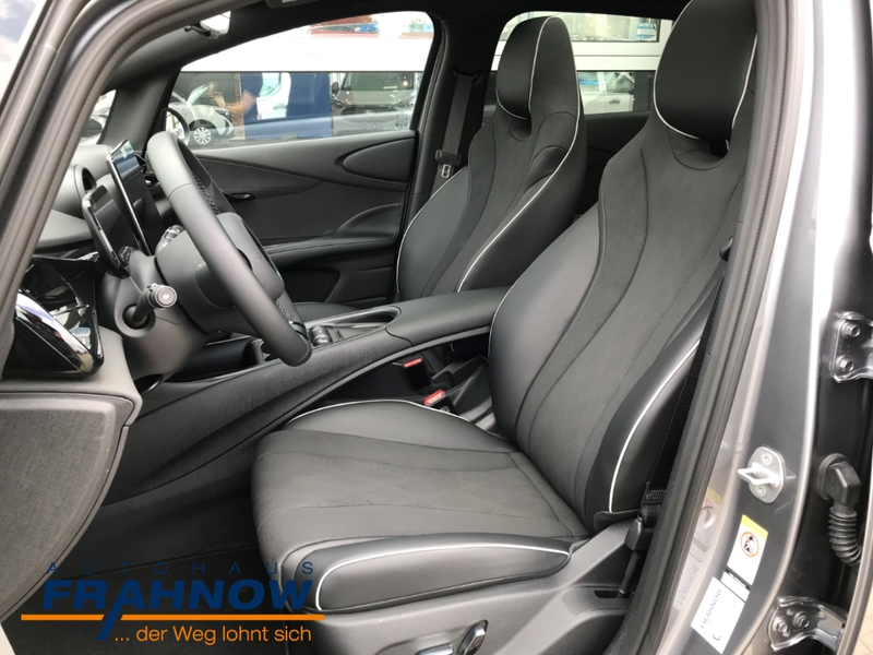BYD Dolphin DMS DESIGN LED NAVI ACC SHZ KAMERA — photo 9