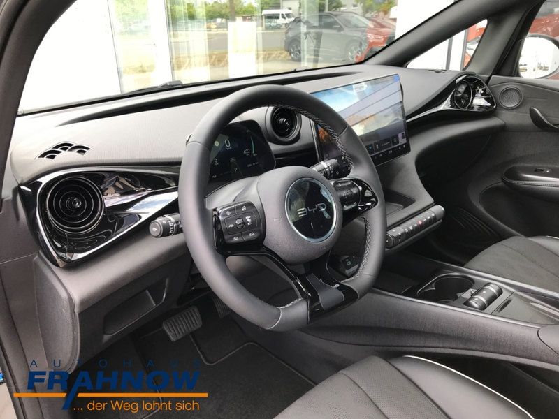 BYD Dolphin DMS DESIGN LED NAVI ACC SHZ KAMERA — photo 8