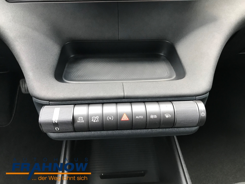 BYD Dolphin DMS DESIGN LED NAVI ACC SHZ KAMERA — photo 15