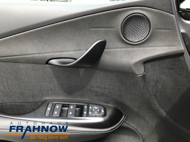BYD Dolphin DMS DESIGN LED NAVI ACC SHZ KAMERA — photo 7