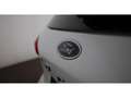 Ford Focus Turnier 1.0 EcoBoost Active X Aut LED NAVI Weiß - thumbnail 8