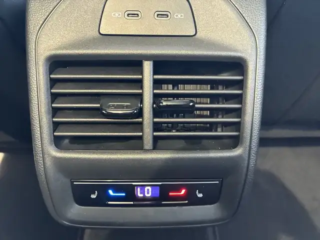 Volkswagen Passat Variant Sport TDI DSG Ansicht 19